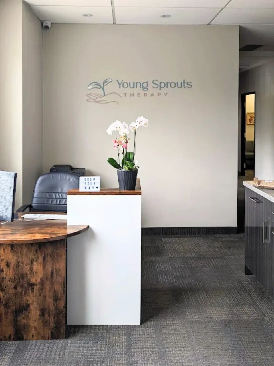 Soft seating and natural light in the clinic waiting area